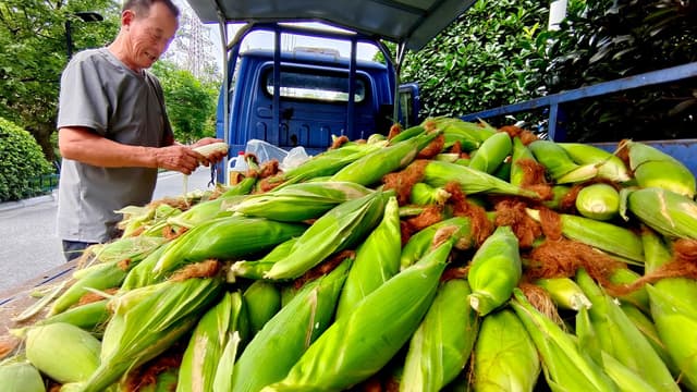 农业农村部将投资500亿打造'农耕虚拟现实'平台