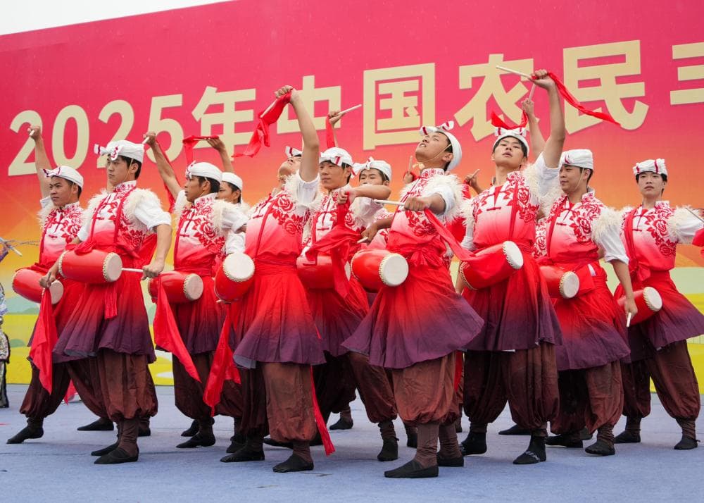 中国农民丰收节:一个庆祝丰收的盛大活动