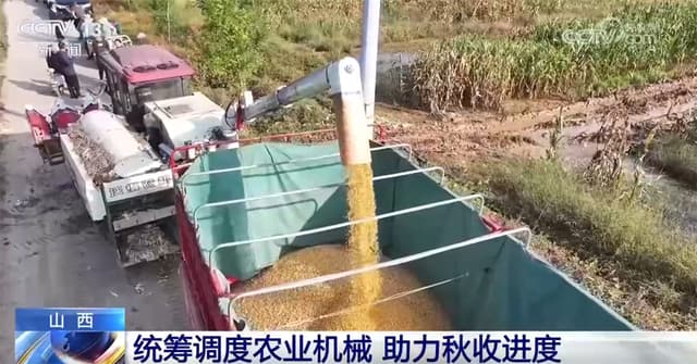 专家预测:未来十年中国秋粮产量将增加30%,创新农业技术成关键因素