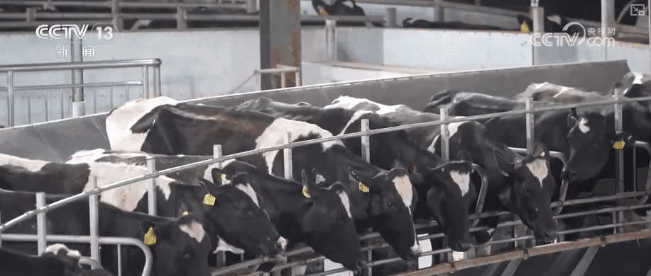 中国农产品出口创历史新高:走向全球的“快车道”