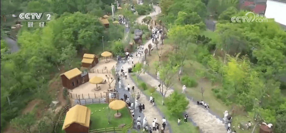 一张票引发的城市变革:‘票根经济’如何成为旅游业新宠