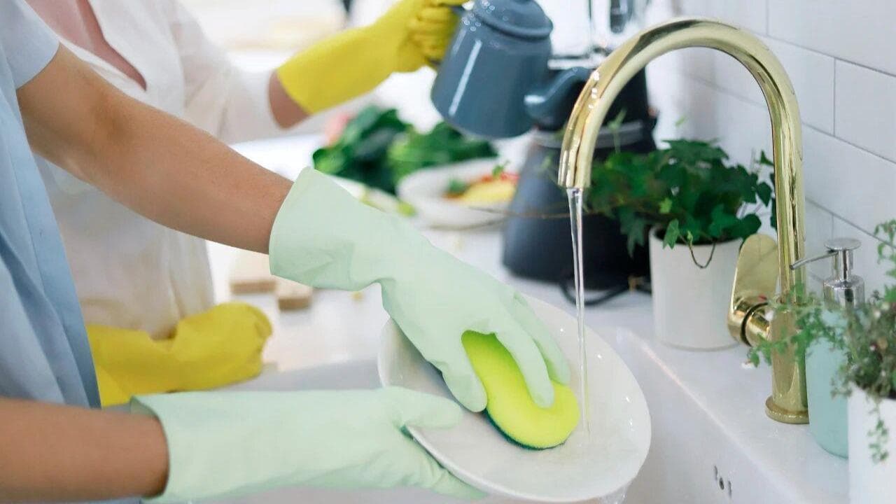 研究揭示:洗碗海绵可能是家庭中最脏的物品