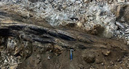 国家一级重点保护!山西工地发现2.9亿年前大型木化石