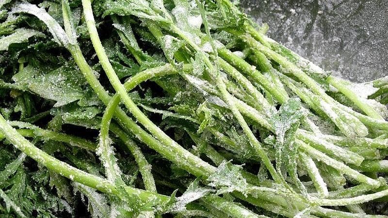 专家称蒸菜是“懒人减肥法”,但你真的会做对吗?