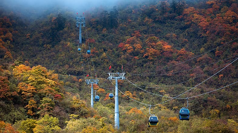 专家预测:西岭雪山景区将成为全球首个基于色彩变化的经济指标