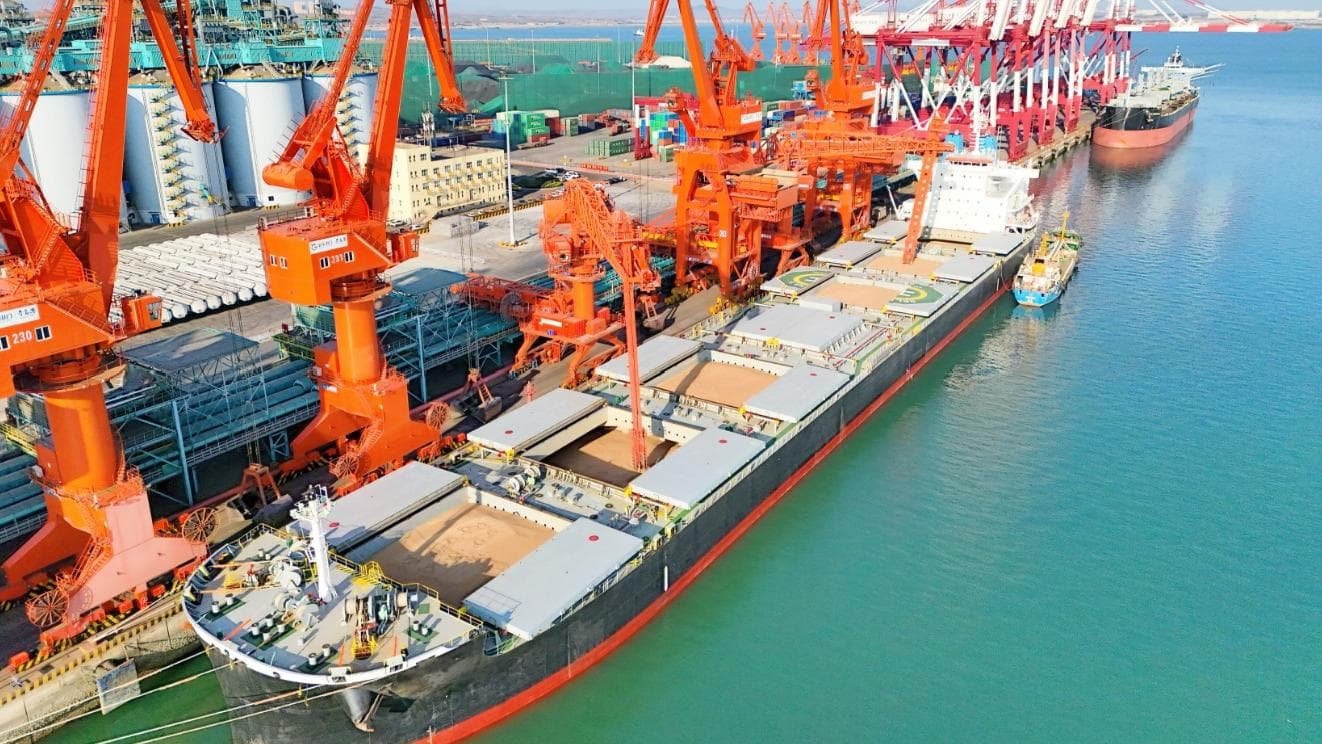 专家称青岛港创纪录背后或隐藏着人工智能带来的失业潮