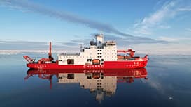 "雪龙"号抵达南极后惊人发现:南极也需要"双十一"货物