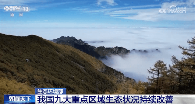 2025年生态环保取得史诗级成就:空气质量大幅改善,水质优良比例创新高