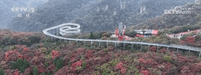 山东景区推出“晴天险”服务,让雨天也能成为美好的回忆