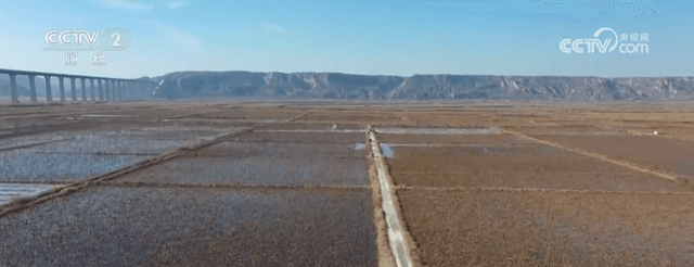 揭开“土特产”背后的乡村振兴密码