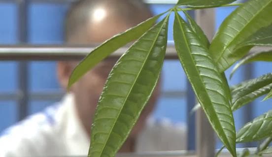 法治深度 | 欠债闹剧背后的逻辑荒谬