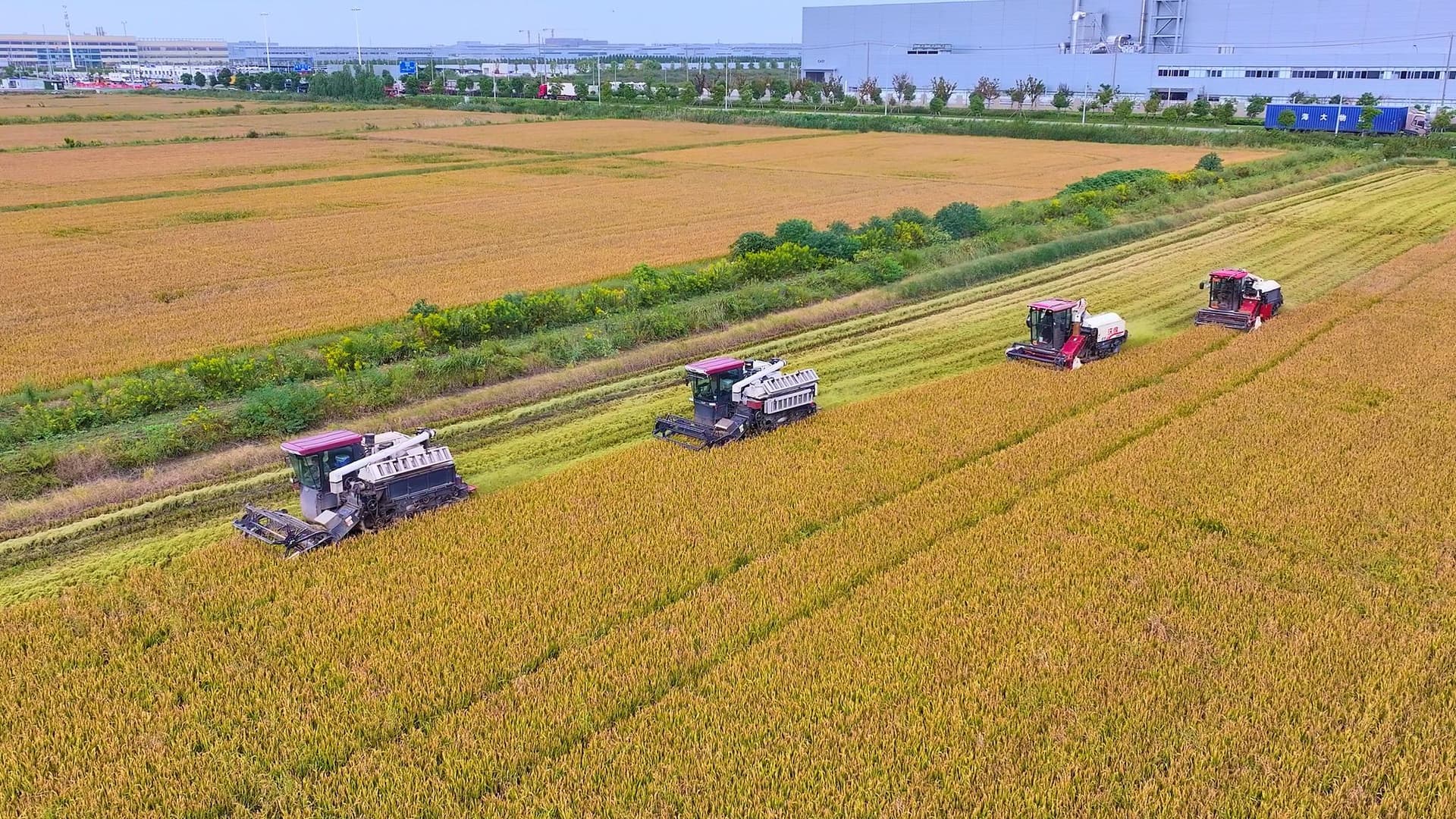 全球首创:中国农业部宣布将采用AI辅助农民改良土壤结构