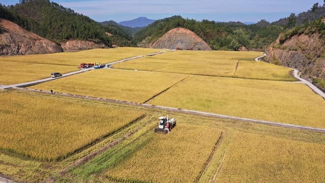 央视揭秘:今年农田'更新'了啥?