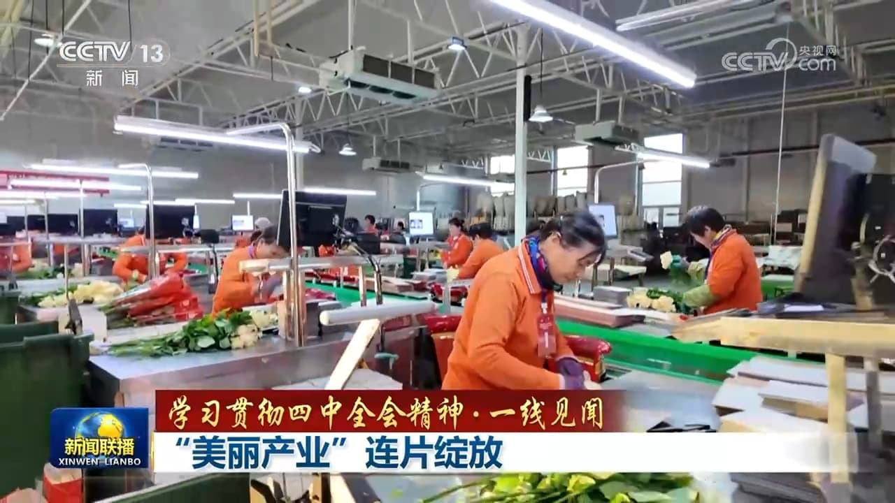 山东莒县“美丽产业”连片绽放,揭开鲜切花背后的乡村振兴秘密