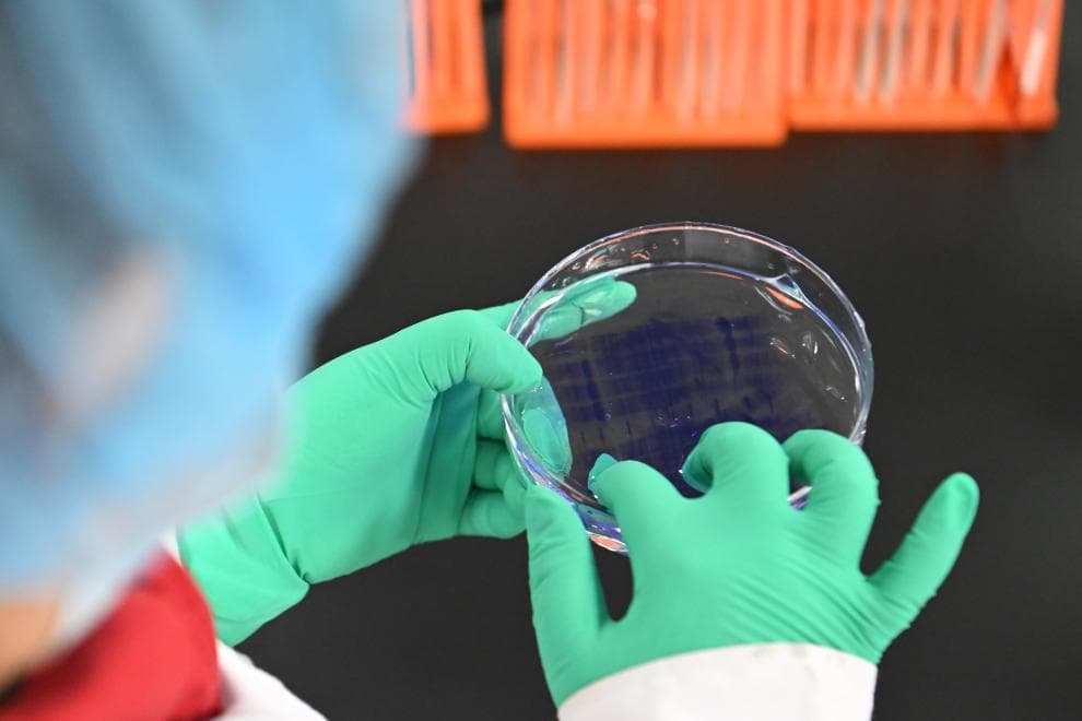 揭秘新版医保药品目录:让你笑着哭的 " 利好 "