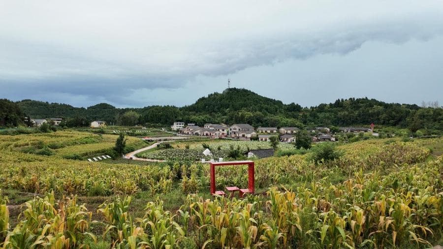 专家称中国旅游业将迎来'农文旅'时代:农村变身为时尚打卡地