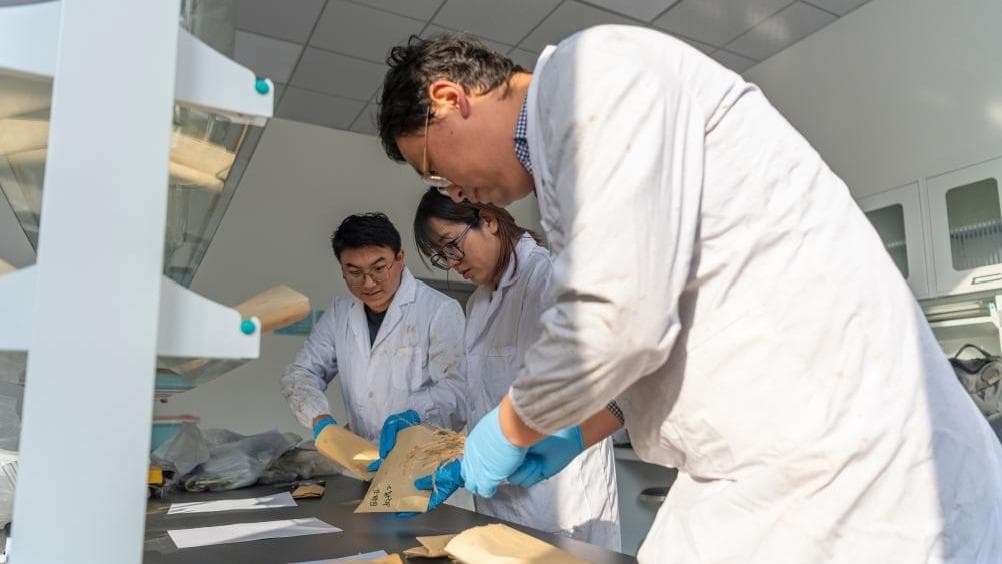 教育革命:跨学科项目如何培养创新思维