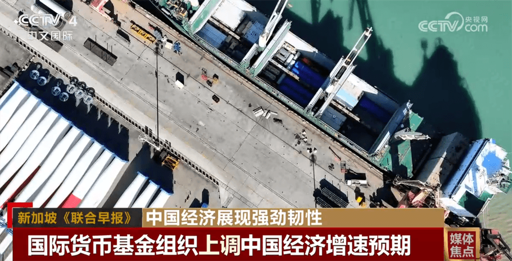 揭秘中国经济“免疫系统”的神奇之旅